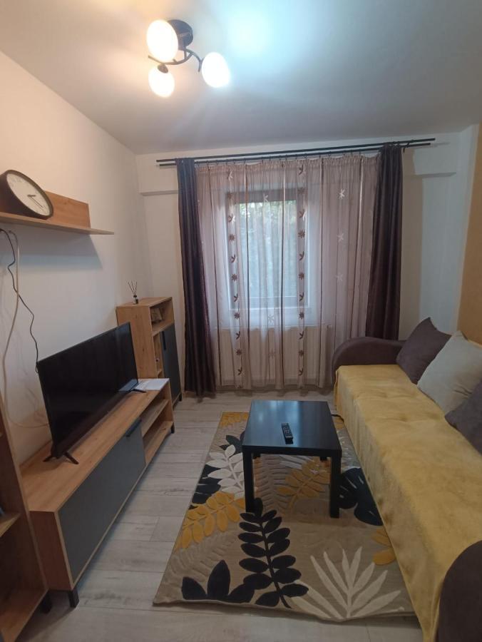 Daylight Apartments سيبيو المظهر الخارجي الصورة